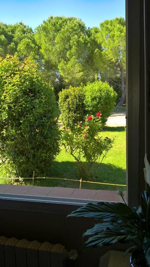 Chez Naomi Bed and Breakfast Saint-Jean-de-Cornies Εξωτερικό φωτογραφία